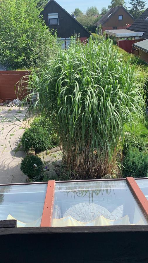 Nordseevilla Jade Schweiburg Zewnętrze zdjęcie